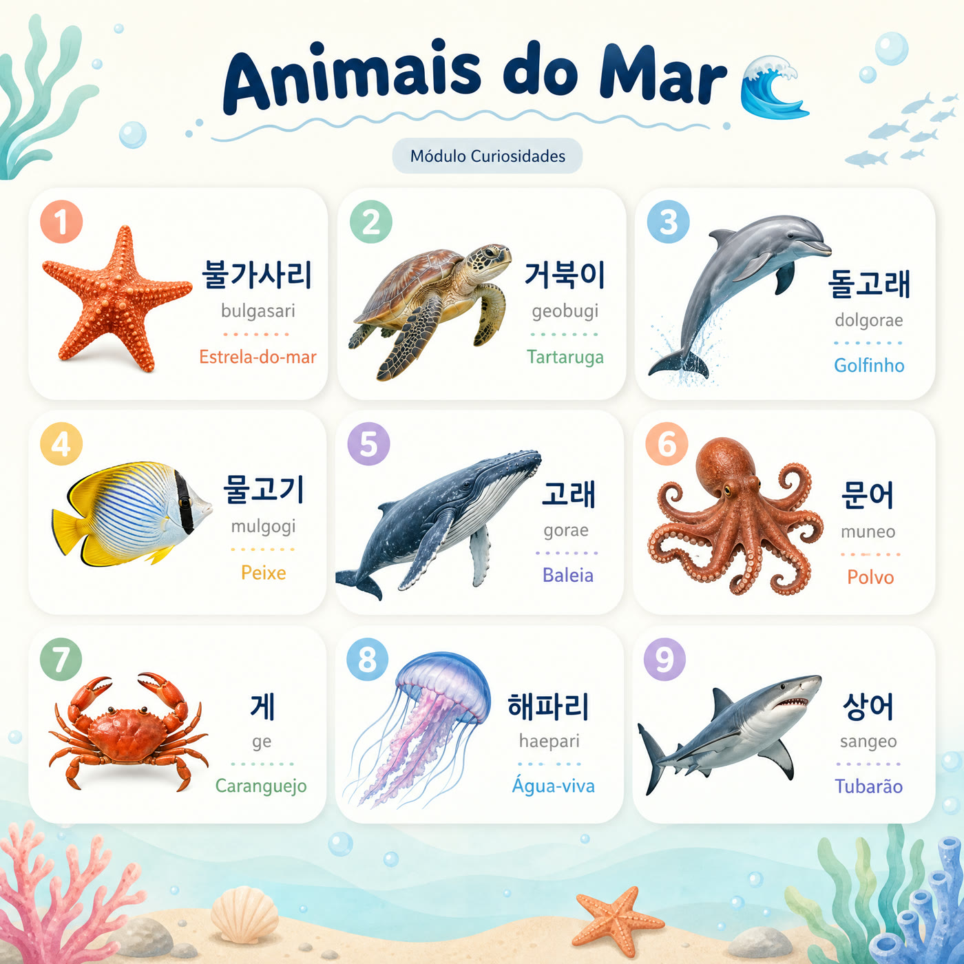 Animais do Mar